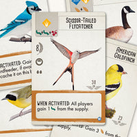 Wingspan Vision-Friendly Cards: Core Game