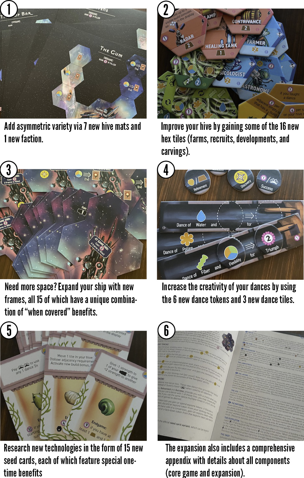 Apiary Store Apiary: Expanding the Hive – Stonemaier Games