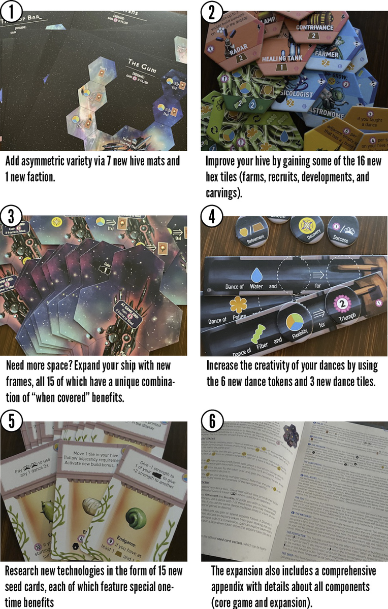 Apiary: Expanding the Hive – Stonemaier Games
