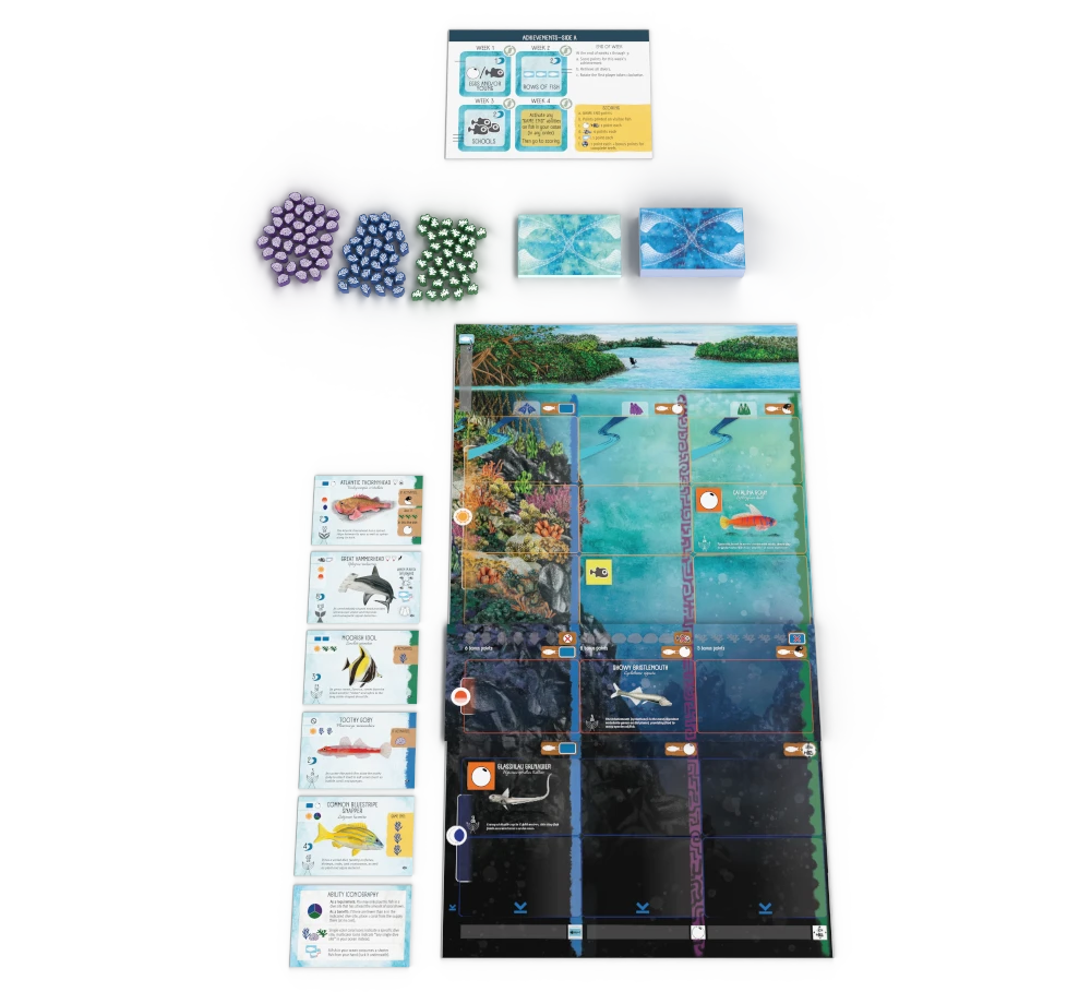 Finspan: Sharks & Reefs game setup
