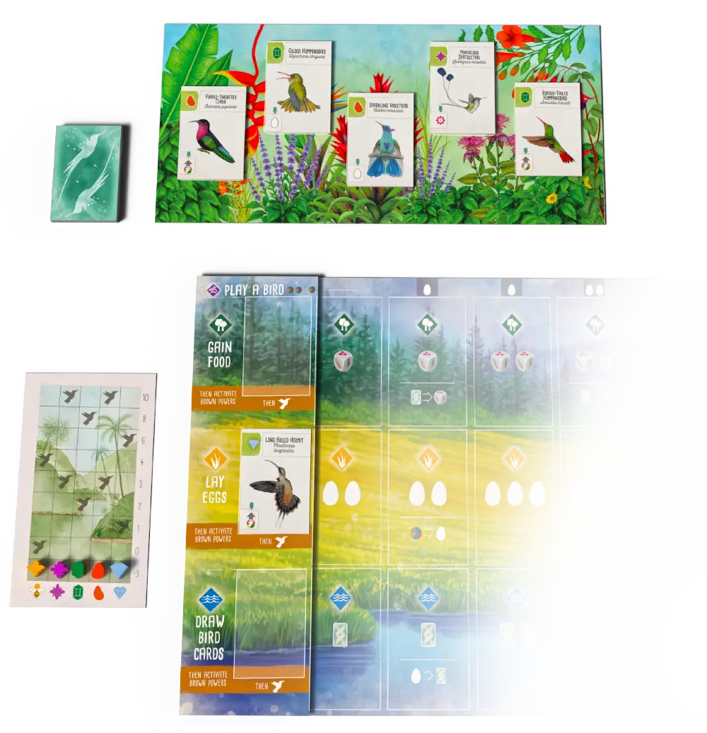 Wingspan Americas Expansion game setup