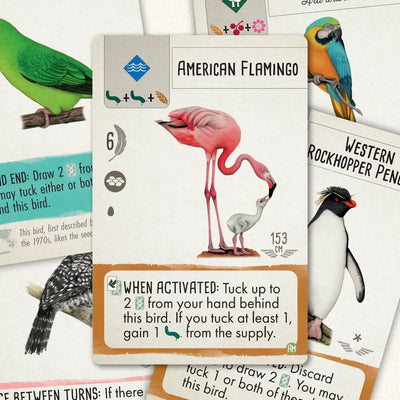 Wingspan Vision-Friendly Cards: Americas Expansion