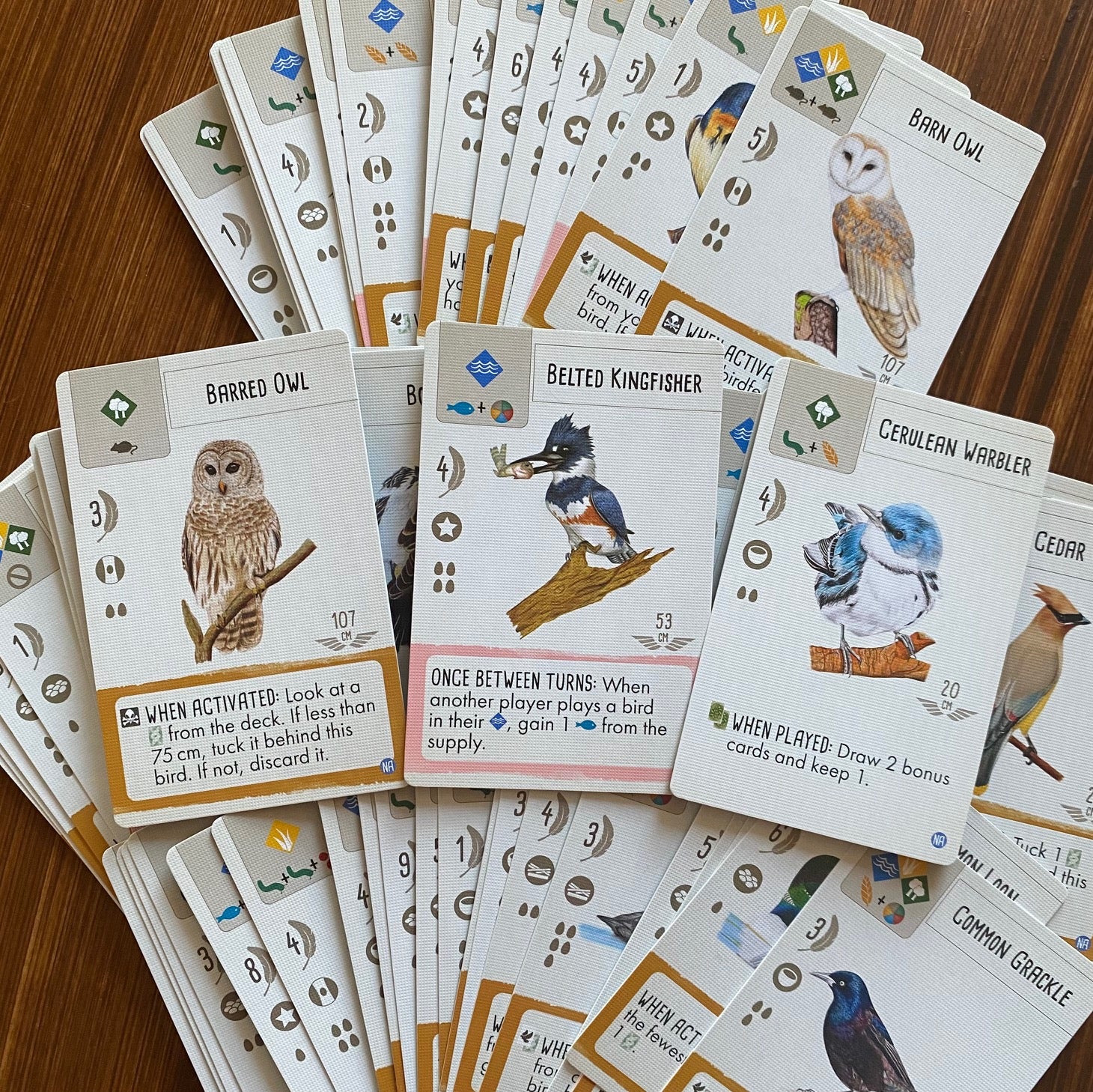 Wingspan Vision-Friendly Cards: Core Game – Stonemaier Games